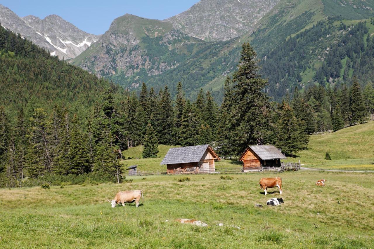 Alpenhotel & Aparthotel Lanz Hohentauern Εξωτερικό φωτογραφία